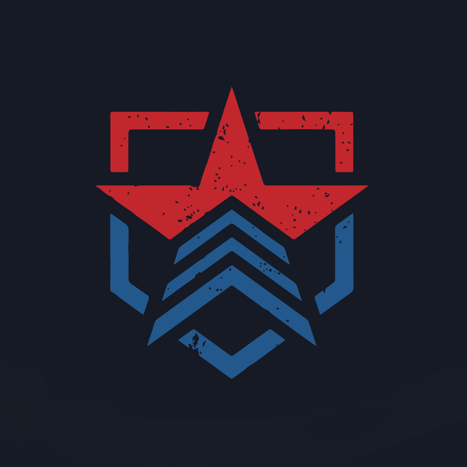 The Flag We Wave Project